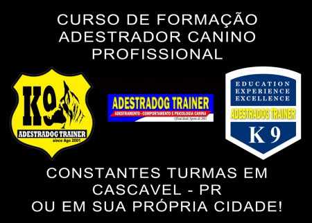 CURSO DE FORMAÇÃO DE ADESTRADOR PROFISSIONAL NÍVEL 1